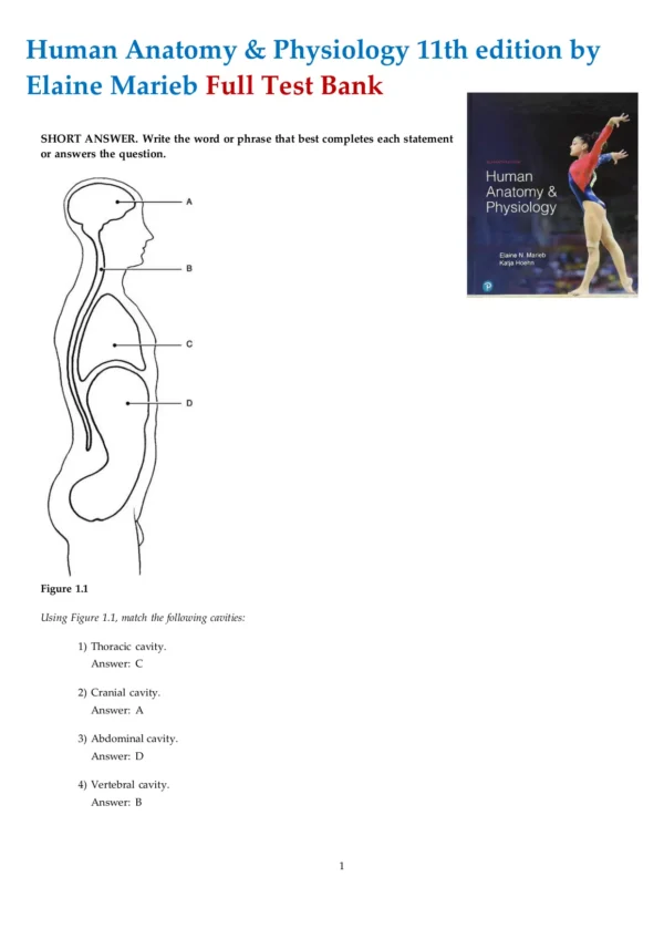 Human Anatomy & Physiology 11th edition by Elaine Marieb Test Bank1 Human Anatomy & Physiology 11th edition by Elaine Marieb Test Bank