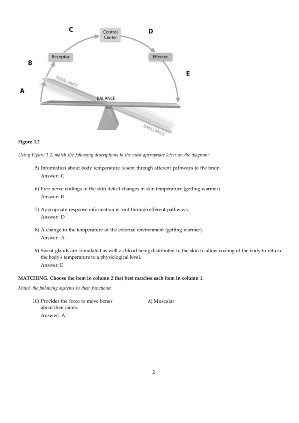 Human Anatomy shops and Physiology 11th