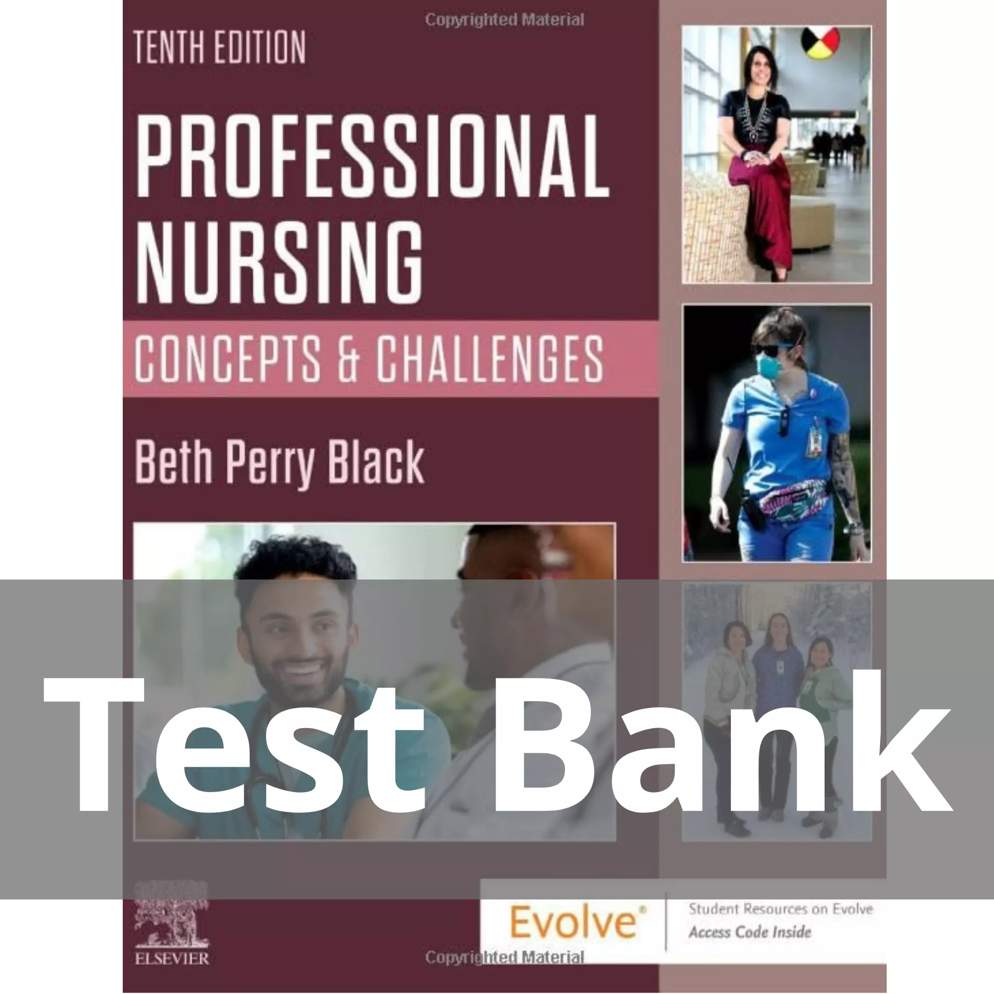 Professional Nursing 10th Edition By Beth Black Test Bank | NursinGrade