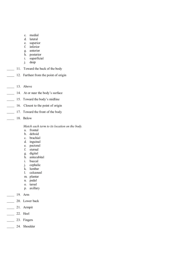 Understanding Anatomy & Physiology 3rd Edition Gale Sloan Thompson Test Bank2 Understanding Anatomy & Physiology 3rd Edition Gale Sloan Thompson Test Bank